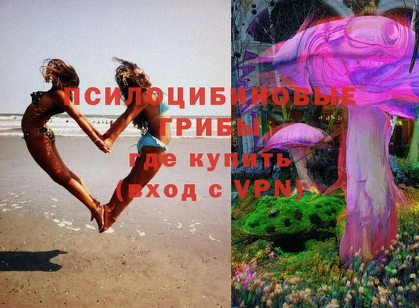 СК Горно-Алтайск