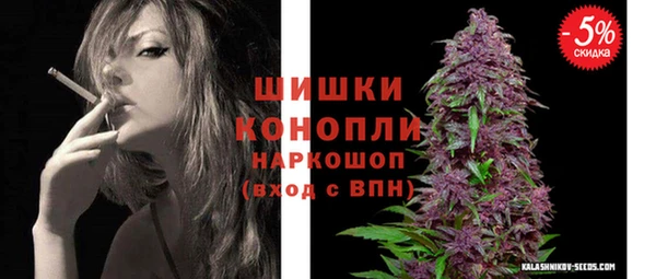 ECSTASY Горняк