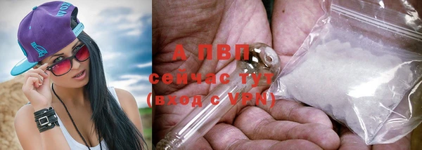 мдпв Семилуки