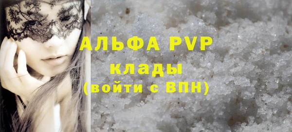 СК Горно-Алтайск
