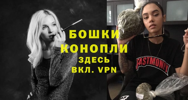 ECSTASY Горняк