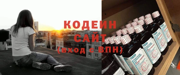 ECSTASY Горняк