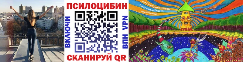 Псилоцибиновые грибы прущие грибы  Зарайск 
